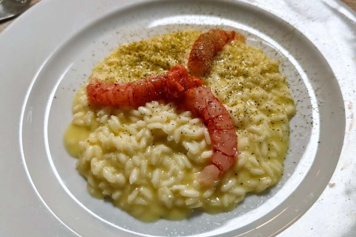 Risotto all’acqua di pomodoro crudo di gamberi e origano di Stefano Mazzone